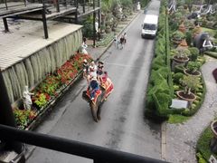 -东芭乐园