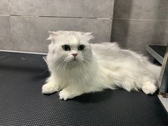 -宠颐生嘉德动物医院
