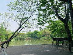-木守西溪溪隐餐厅