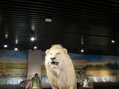 -陕西自然博物馆