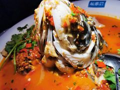 -坛宗剁椒鱼头(河西王府井店)