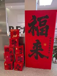 -三只熊皮肤管理中心旗舰店