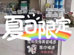-A猫a狗全科·犬猫异宠·芥西宠物医院(南开总院)