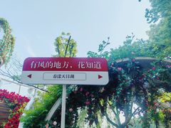 -天目湖山水园