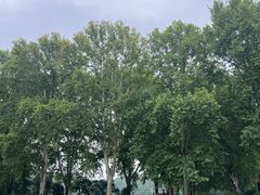 -河南省黄河迎宾馆