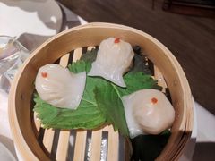 -迦南苑·新派青岛菜·生日纪念日主题餐厅