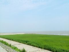 -南汇嘴观海公园