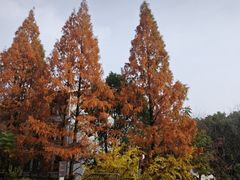 -天目湖御水温泉·度假酒店