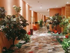 -恒坤北纬42度温泉洗浴(公园路店)