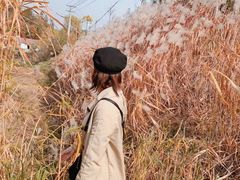 -千年银杏谷文化旅游区