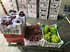 -西郊国际农产品交易中心