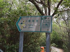 iphone_upload_pic-南丫岛