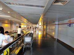 -重庆江北国际机场-T2航站楼