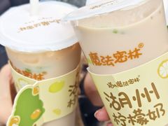 -猫的魔法密林(衣裳街店)