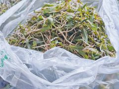 -广发餐厅(涞源店)