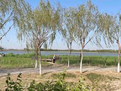 -西青郊野公园