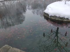 -水磨沟公园