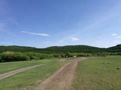 -塞罕坝国家级自然保护区