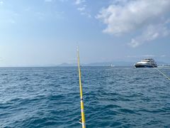 -小猫钓鱼海钓俱乐部(椰梦长廊店)