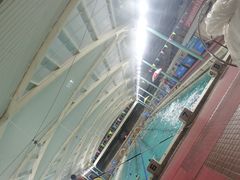 -江湾体育中心游泳馆