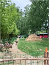 -上美四季动物农场
