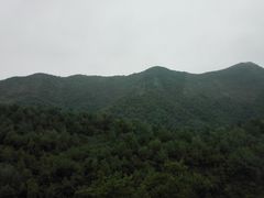-空中草原