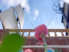 -长春公园(普阳街道)