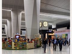 -英迪拉·甘地国际机场