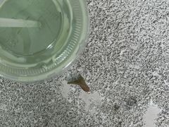 抹茶拿铁-% Arabica阿拉比卡咖啡(武康路店)