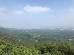 -紫金山天文台