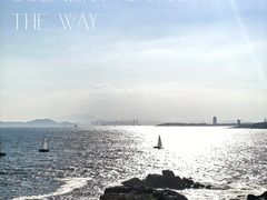 -小麦岛公园
