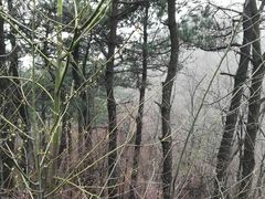 -四明山国家森林公园