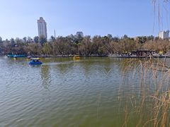 -翠湖公园