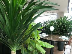 -大树餐厅(红旗街万达店)