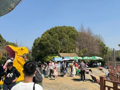 -自然谷恐龙园