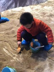 点击看大图 -恐龙探索乐园(磁器口店)