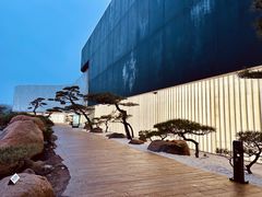 -罗红摄影艺术馆