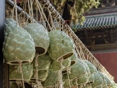 -隆兴寺