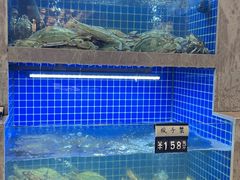 -浙C老邻舍(西城海错店)