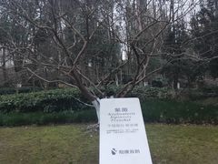 -苏州河梦清园环保主题公园
