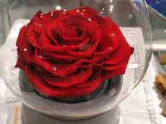 -ROSEONLY诺誓(沈阳万象城店)