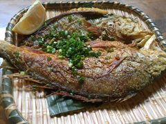 香煎黄花鱼-和记菜馆