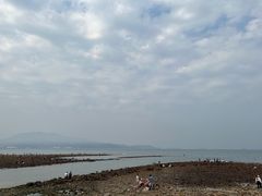 -杨梅坑