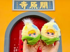 -无锡梅园公园