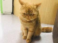 -猫和宫(六道口店)
