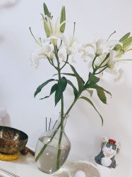 -美肤盾祛痘·问题肌头疗管理中心