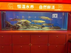水产区-鱼上·烤鱼(万象城店)