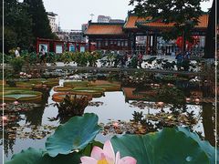 -莲花池公园