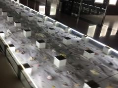 -青岛贝壳博物馆