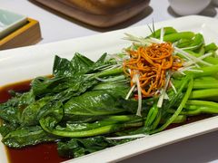 虫草花菜心-春满园·邯郸菜发祥地(滏东店)